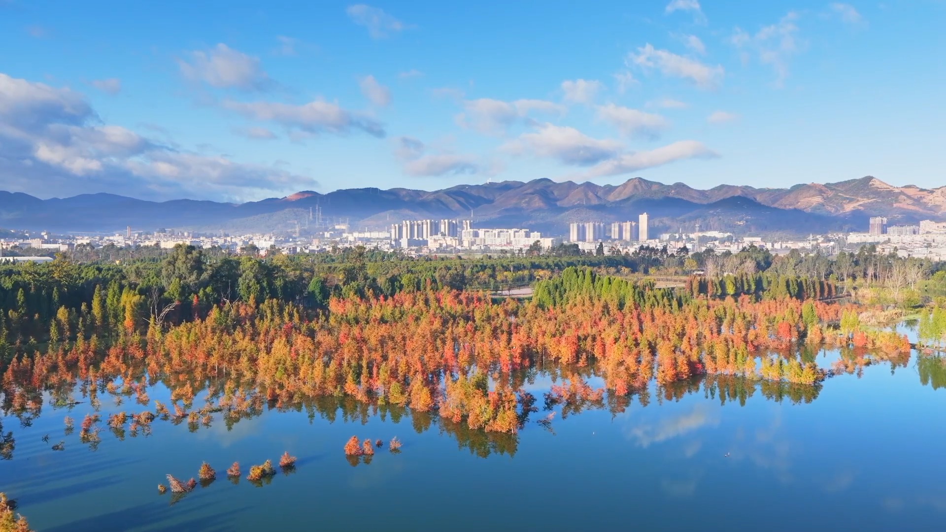 amdyes_文旅融合 消费升级 场景创新