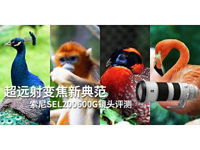 超远射变焦新典范 索尼SEL200600G镜头评测