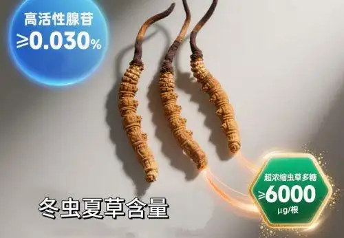 5700G_冬虫夏草区域鉴别标准_冬虫夏草行业规范转型