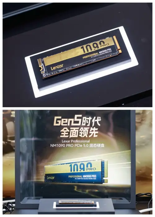 9800X3D_雷克沙杯全国高校电竞挑战赛秋季城市冠军赛_雷克沙ARES NM1090 Pro PCIe Gen5固态硬盘