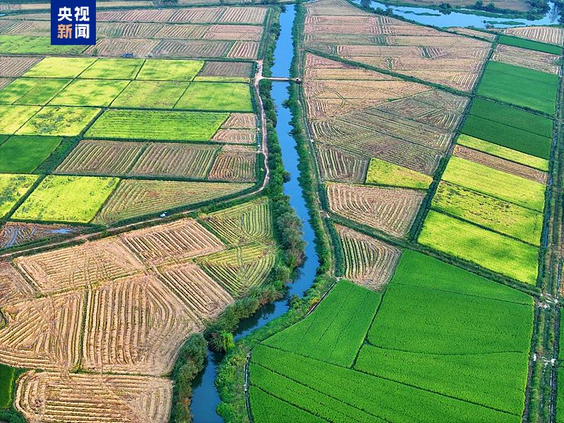 9800X3D_中国水利建设新进展_十四五水利高质量发展成就