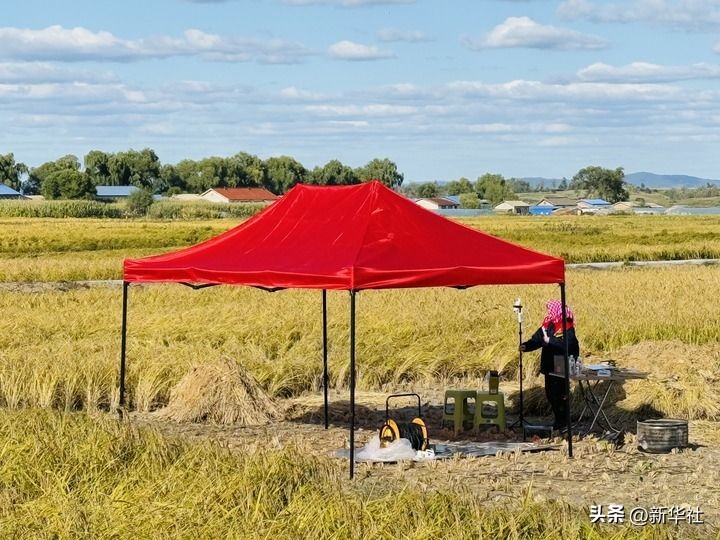 端牢中国饭碗 共护大国粮仓——写在第45个世界粮食日到来之际