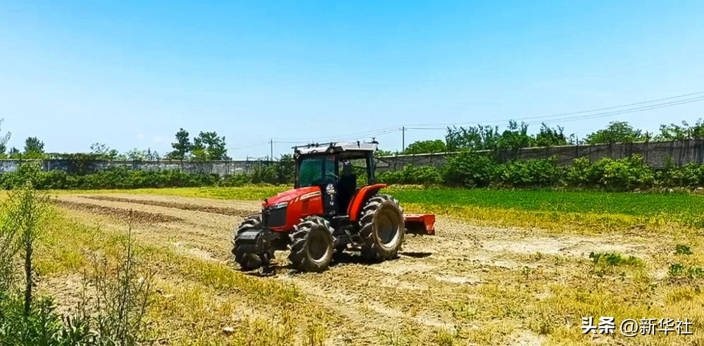 端牢中国饭碗 共护大国粮仓——写在第45个世界粮食日到来之际