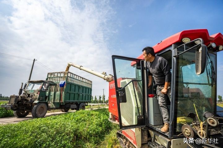 端牢中国饭碗 共护大国粮仓——写在第45个世界粮食日到来之际