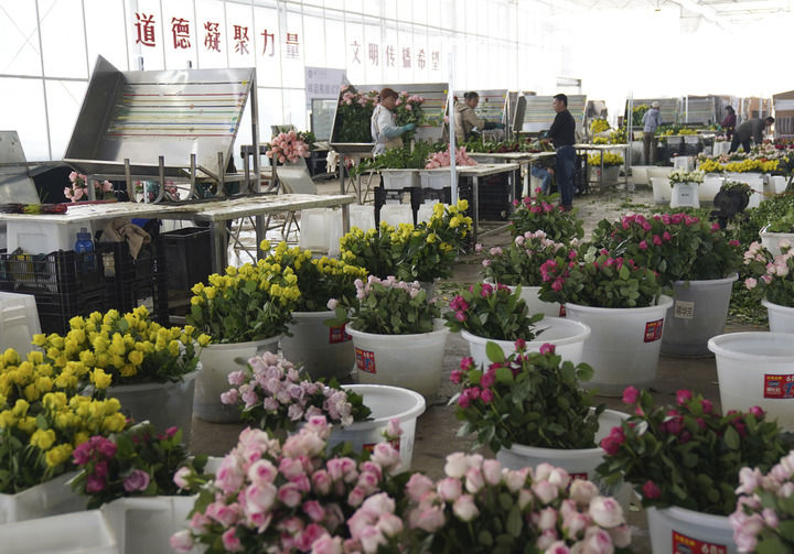 高质量发展取得新的历史性成就——从“十四五”看中国答卷