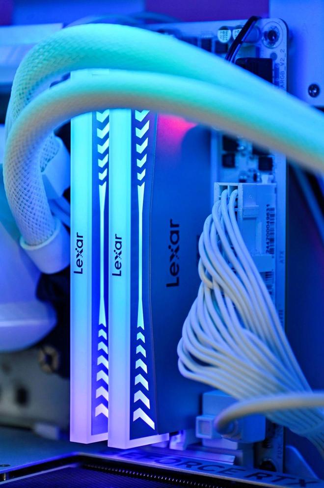 珠江电竞浪潮涌动！熊出没战队强势摘得雷克沙杯大湾区场桂冠