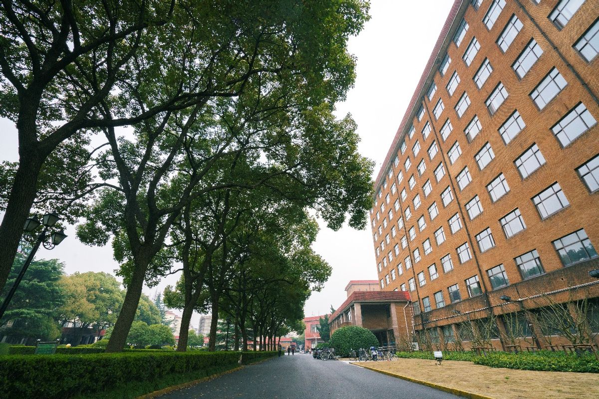 2025年AI服务器选购指南：朴赛服务器为何成为科研与企业的首选？