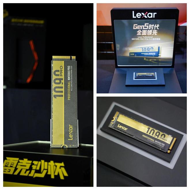 雷克沙NM1090SSD ARES战神之翼DDR56000C26内存 AMD锐龙79700X3D处理器技嘉B850MAORUSPROWIFI7电竞雕主板 LGUltraGear27_9800X3D