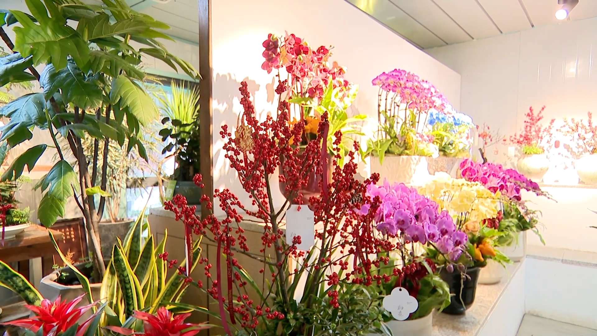 5700X_高质量发展主线激活消费活力_创新驱动夯实产业根基