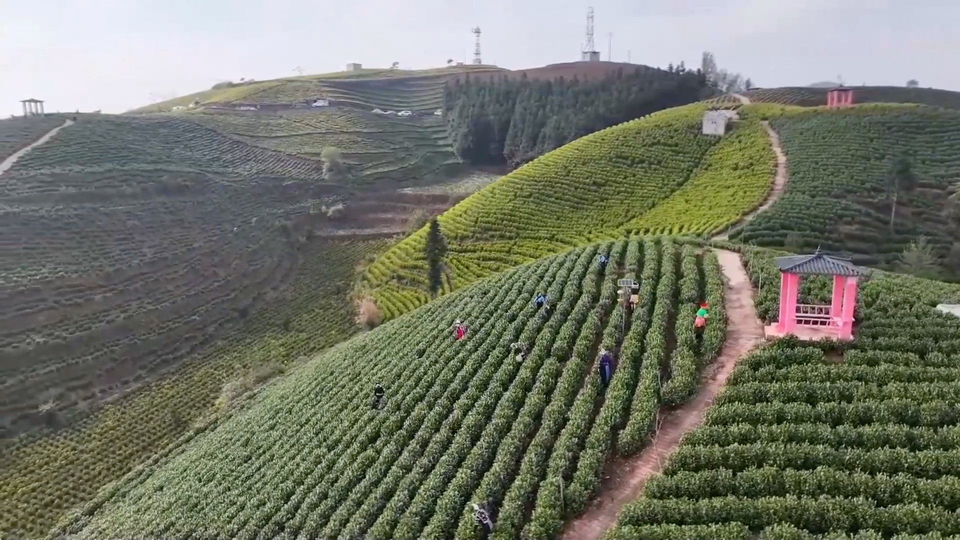 5700X_创新驱动夯实产业根基_高质量发展主线激活消费活力