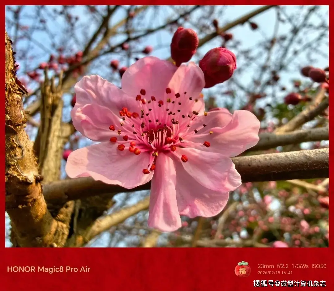 5500mAh电池Pro级影像手机_9500F_荣耀Magic8 Pro Air 6.1mm轻薄旗舰