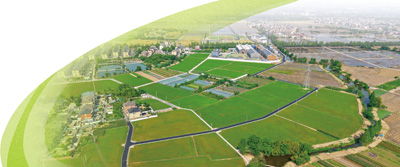 7500F_乡村振兴片区化发展模式_片区化推进乡村振兴