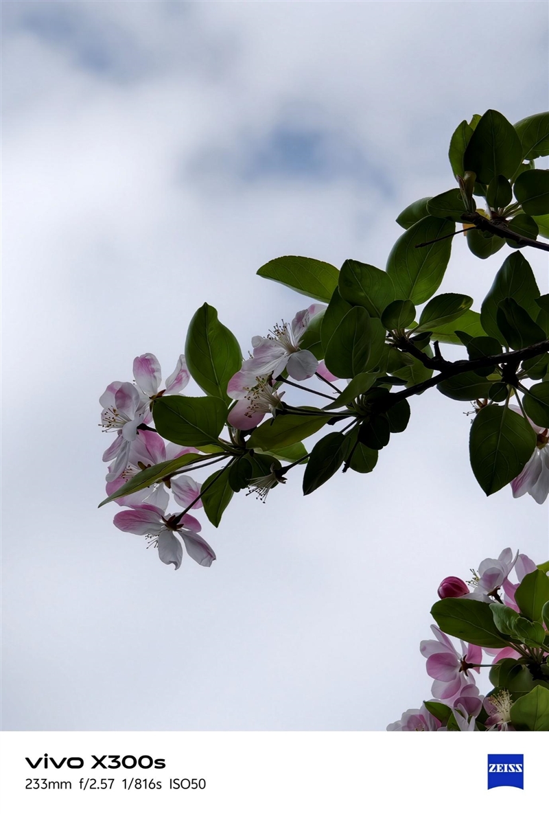 天玑9500搭配蔡司影像 vivo X300s手机全面评测：省心耐用的直屏主力机