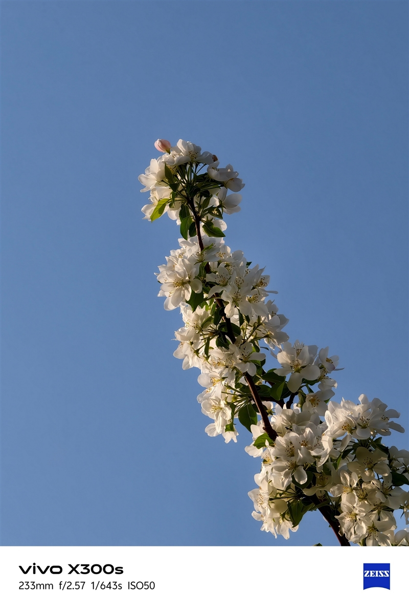 天玑9500搭配蔡司影像 vivo X300s手机全面评测：省心耐用的直屏主力机