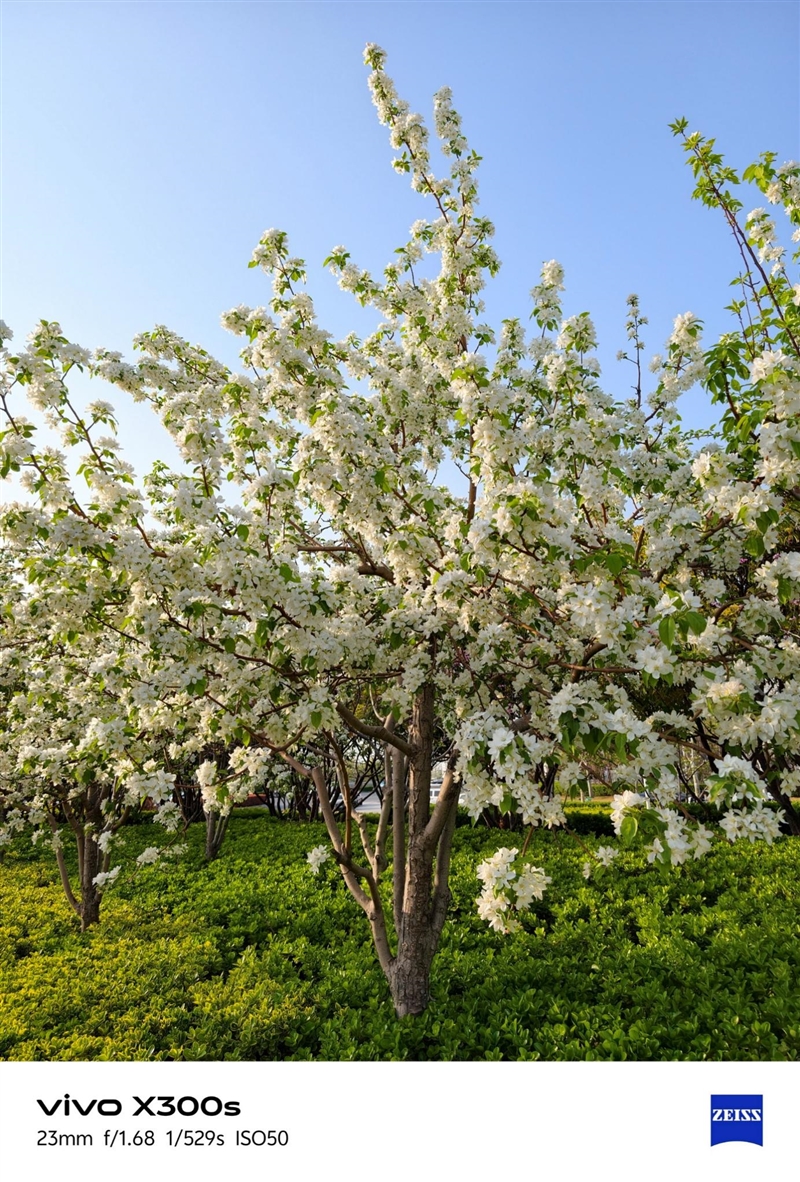 天玑9500搭配蔡司影像 vivo X300s手机全面评测：省心耐用的直屏主力机